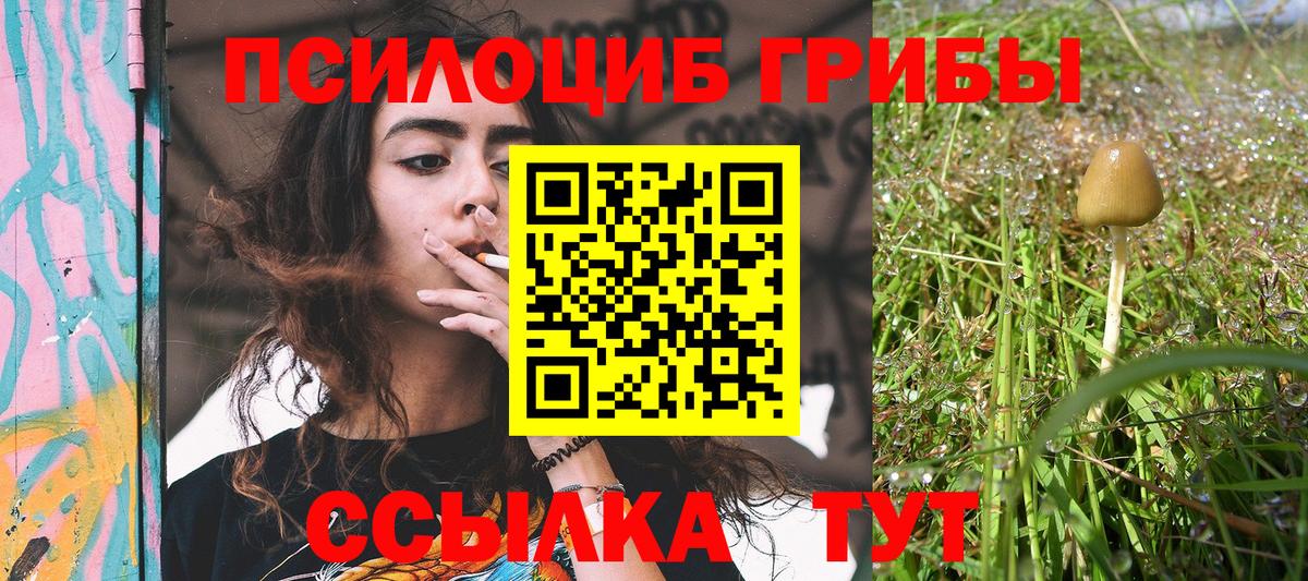 Галлюциногенные грибы MAGIC MUSHROOMS  Вход с VPN  наркотики  Кинель 